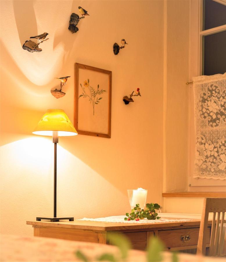 Hannas Alpengruss Apartment - Zimmer 蒂罗尔-泽费尔德 外观 照片